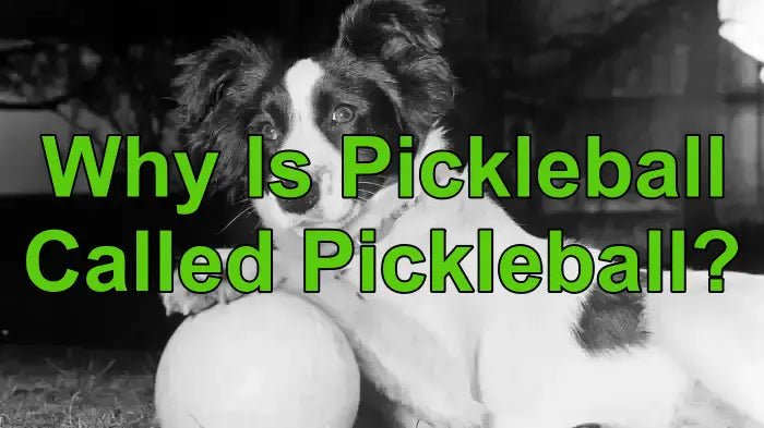Why Is Pickleball Called Pickleball? The Story Behind the Name - Big Green Pickle